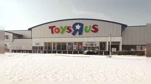 Oyuncak devine kayyım atandı