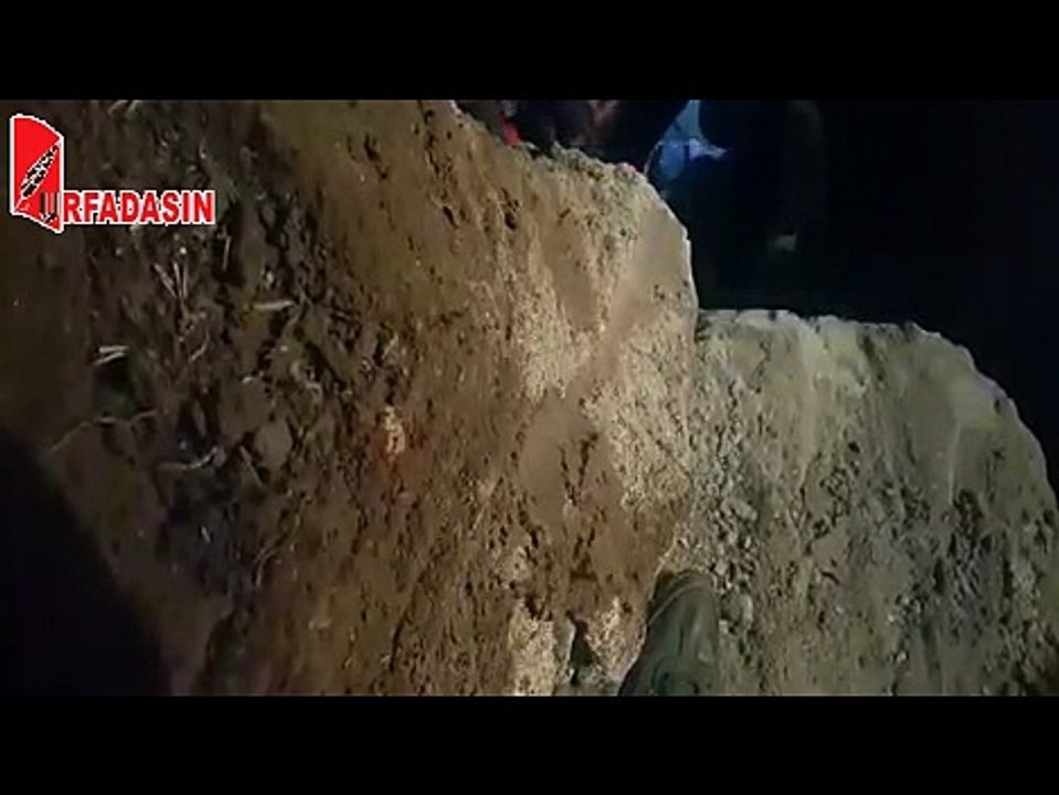 Urfa'da Yavru Köpek Kurtarma Operasyonu