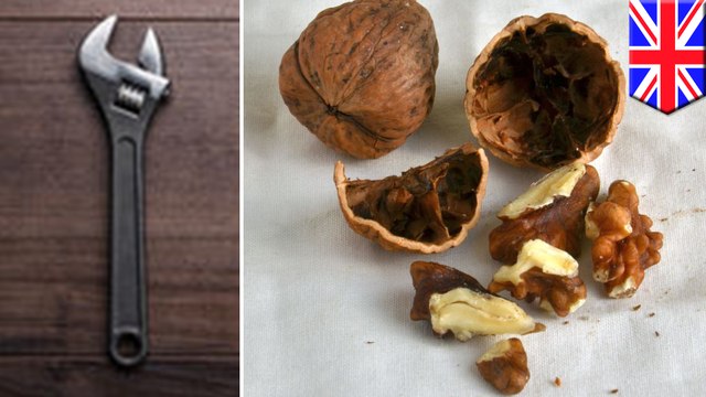 Man gets tools stuck in socket wrench - TomoNews