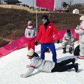 Ils font du snowboard humain à Pyeongchang 2018