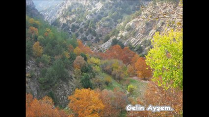 Muhsin Tozlu - Gelin Ayşem