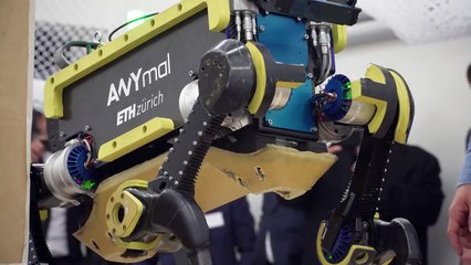 Integrative Demo of Aerial and Terrestrial Robots for Rescue Missions 1st