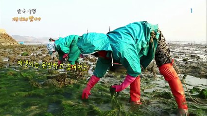 한국기행 - Korea travel_겨울, 남도를 '맛'나다 1부 푸른 바다의 전설_#001