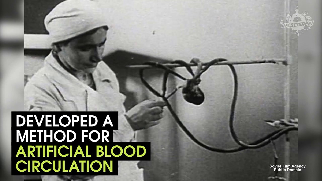 Reanimating A Dog's Head In A Soviet Experiment
