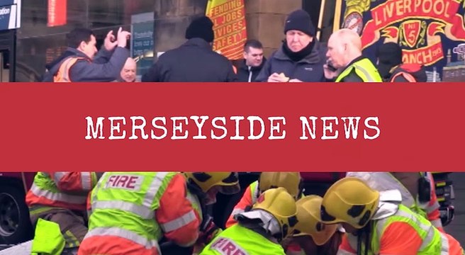 Meet The Dog Foster Carer