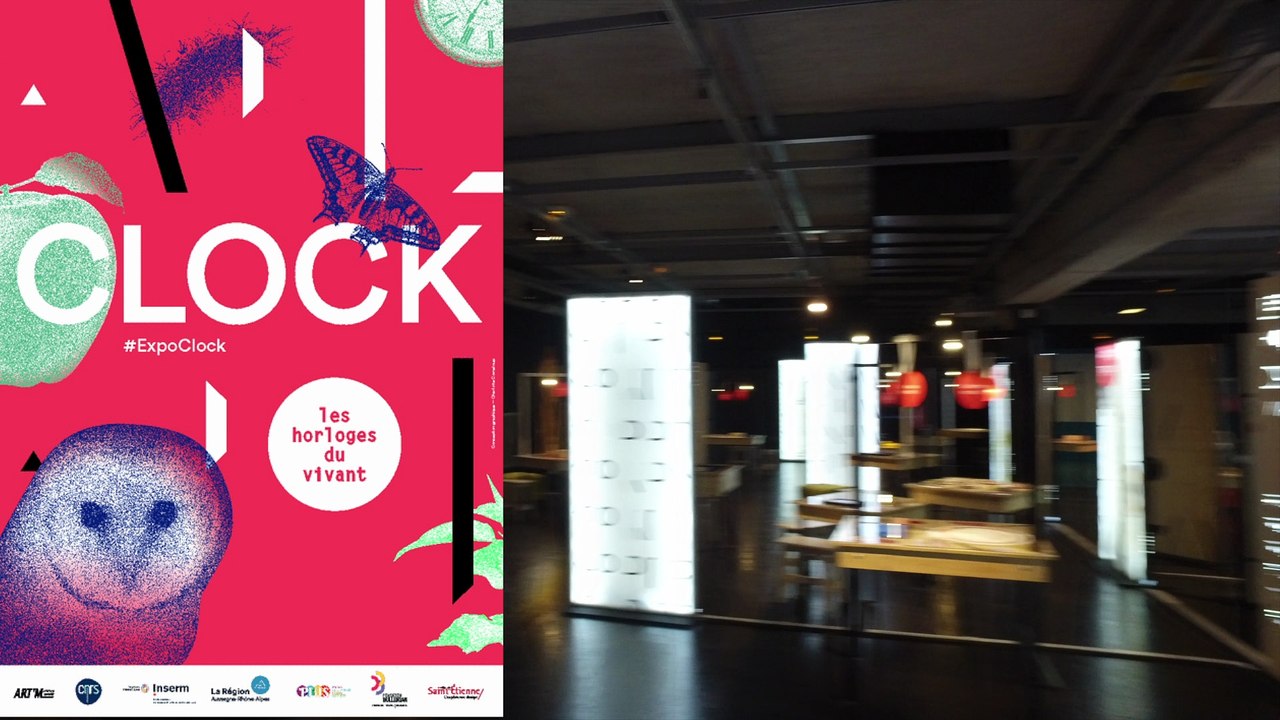 Sorties : Expo "Clock" au PLUS - 26 Février 2018