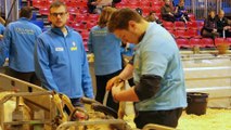 Salon international de l'agriculture de Paris : deux lycéens du Béarn aux 13e Ovinpiades