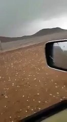 Madinah Munawwara mein shadeed saalah baari se gariyon ke sheeshay chikna chor ho gaye