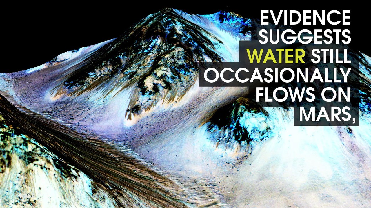 Everything You Need To Know About Mars