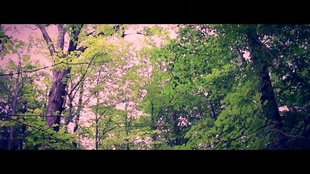 Vivo APEX Concept Phone Has Half -Screen Fingerprint Scanning Tech, Unveiled at MWC 2018