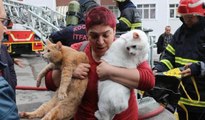 Yangında mahsur kalan kadın kedileriyle kurtarıldı