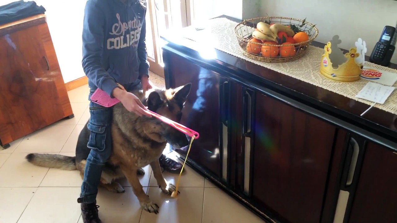 Fishing a cute dog!