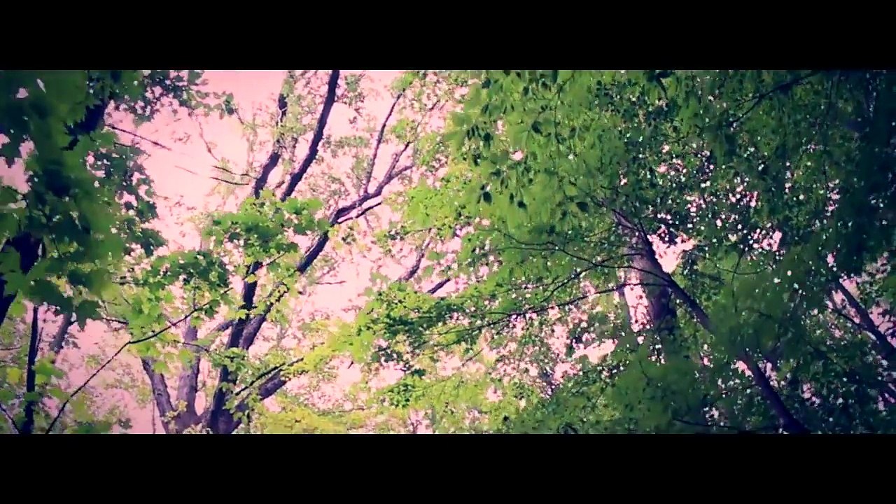 Vivo APEX Concept Phone Has Half -Screen Fingerprint Scanning Tech, Unveiled at MWC 2018