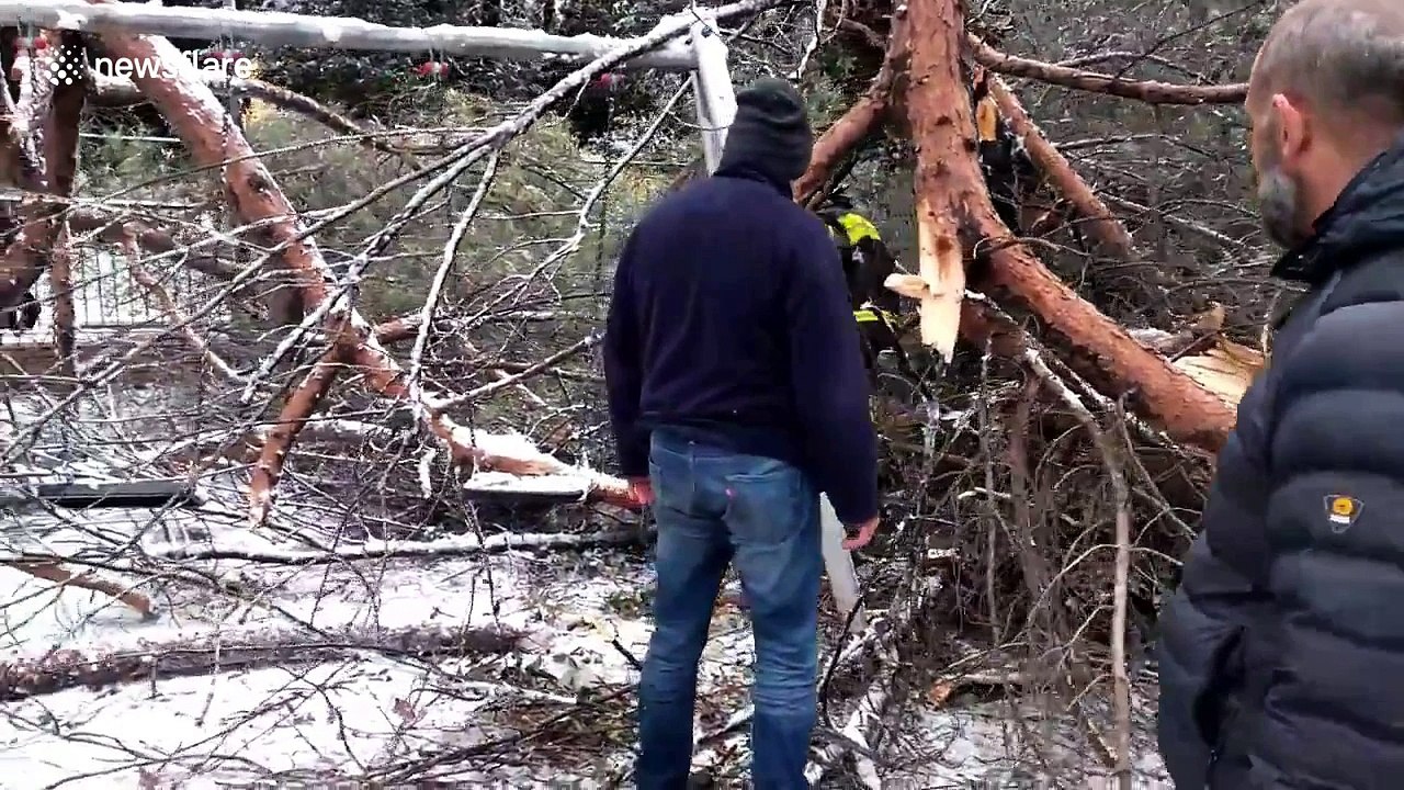 Tree buckles under weight of snow in Rome children's playground