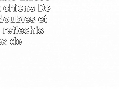 Laisse double Laisse pour deux chiens Des laisses doubles étirables et réfléchissantes
