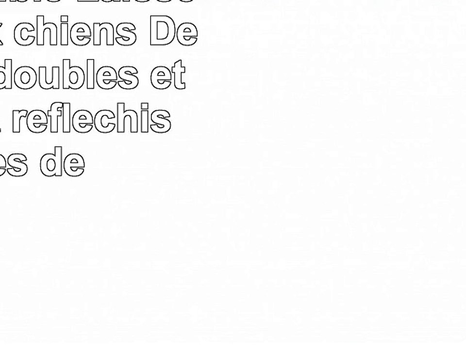 Laisse double  Laisse pour deux chiens  Des laisses doubles étirables et réfléchissantes