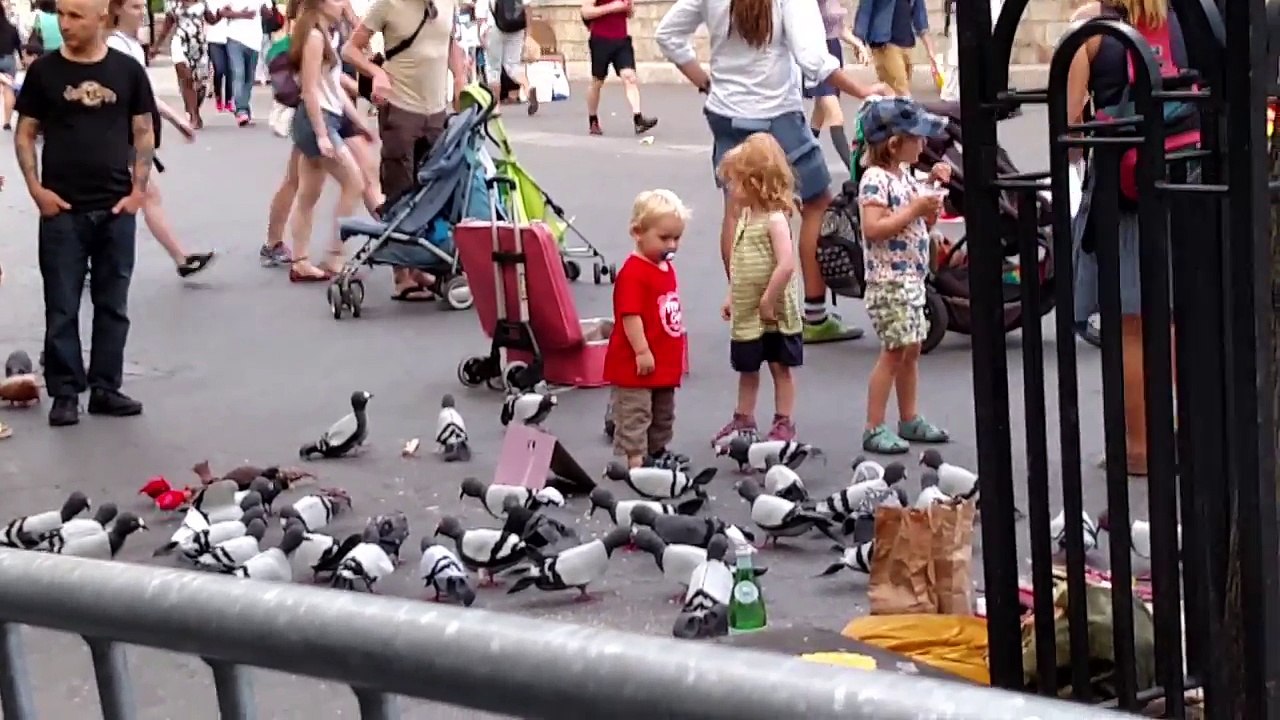 little_kids___fake_pigeons_in_Union_Square_NYC_20150626
