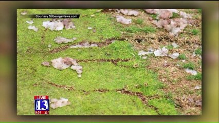 Man Struck by Lightning While Golfing Making Incredible Recovery