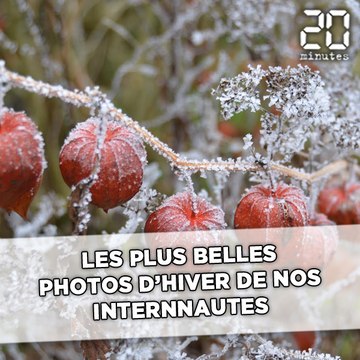 Les plus belles photos d'hiver de nos internautes
