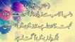 Hazrat Ali (R.A) Kay Mashoor Aqwal | Golden Quotes Of Hazrat Ali