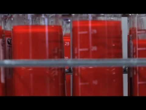 What are quantum dots? | The Economist