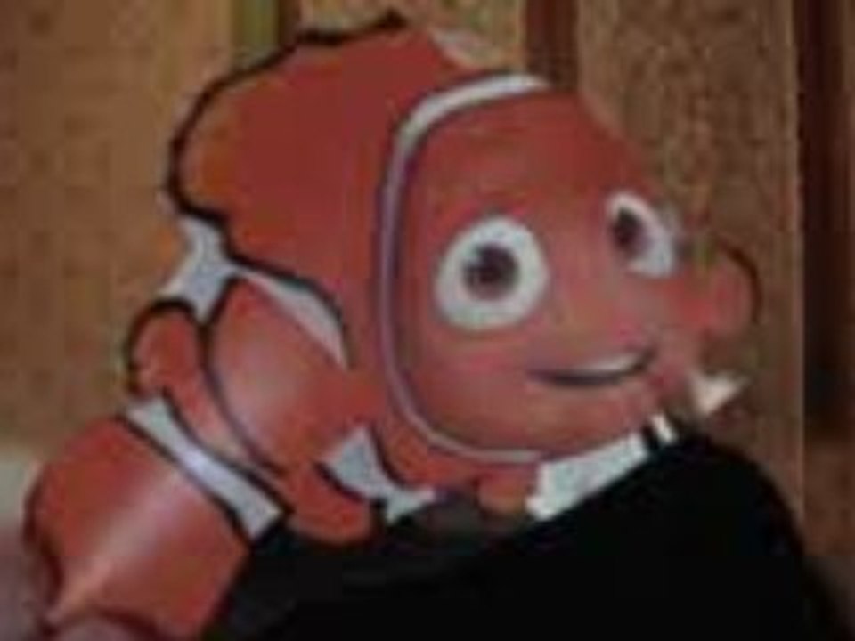 L'amphiprion et l'anémone