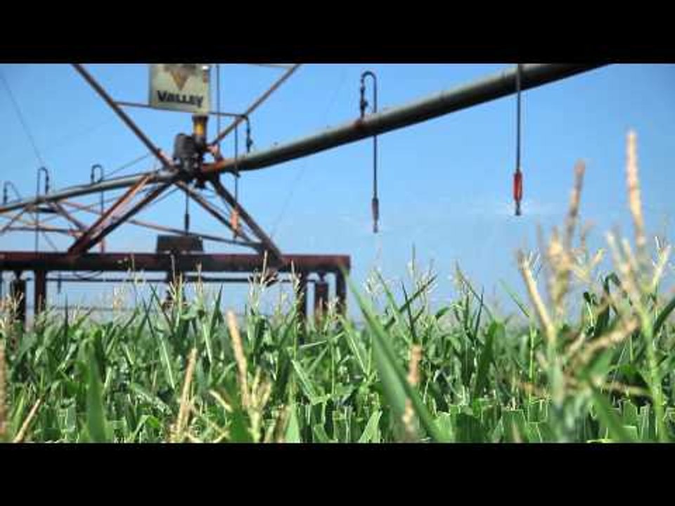 Drought in Indiana