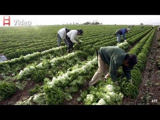 Latest Tech & Science News: Seismologists’ Legal Battle, Microsoft Goes Mobile & New Weed-Targeting Robot 🌱