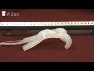 Soft robots and the origins of life