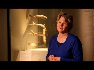 Art of the Ice Age: The modern mind