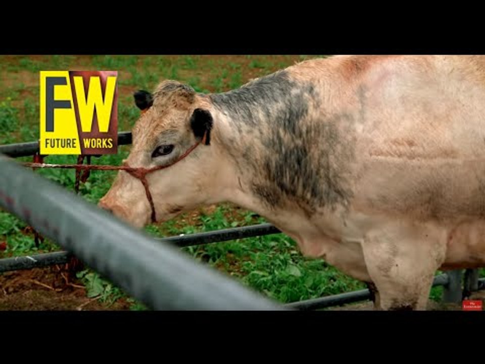 The future of meat?