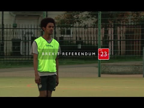 Many young voters in the EU referendum feel both British and European | The Economist