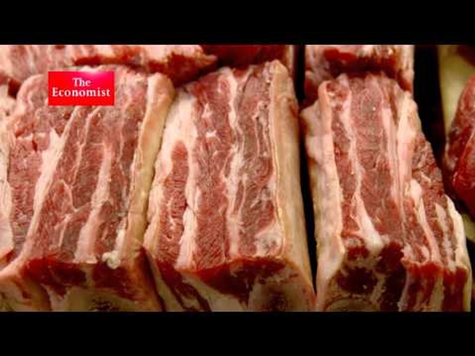 The New Food Revolution