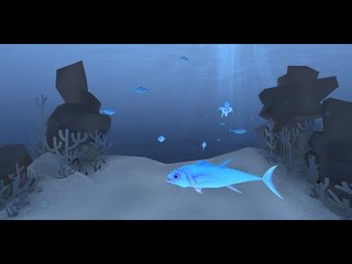 Oceans VR: Net positive | The Economist