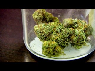 Cannabis capitalists: the business leaders hoping for a marijuana boom | The Economist
