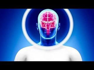 Will 2017 see the first successful human head transplant? | The Economist