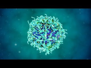 Personalised medicine could lead to a breakthrough in cancer in 2017 | The Economist