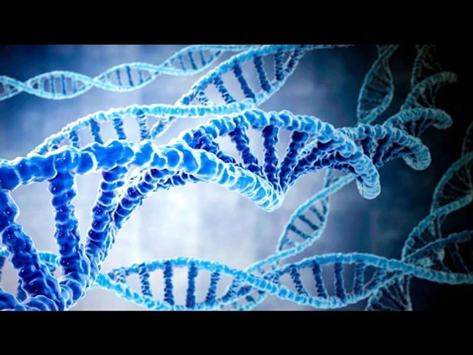 Should gene-editing be embraced? | The Economist