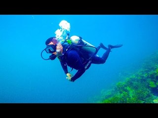 Corals are fighting back