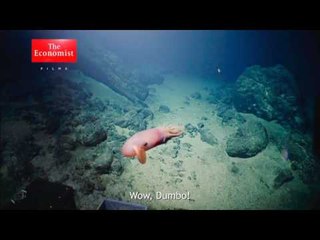 The aquanauts who journey to the bottom of the ocean