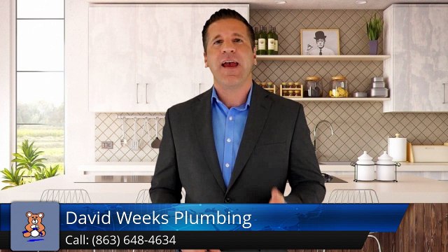 David Weeks Plumbing Lakeland Outstanding Five Star Review by Alicia F Silkey
