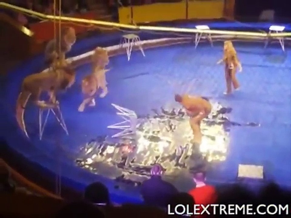 circus lions show fail