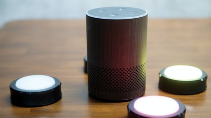 Alexa's Weird Tricks: Unusual Skills from Amazon's Favorite Smart Assistant