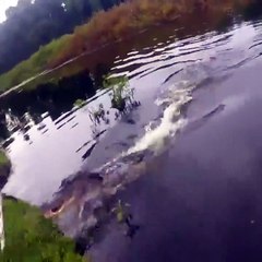 Un pêcheur a une sale surprise au moment de retirer un poisson de sa ligne