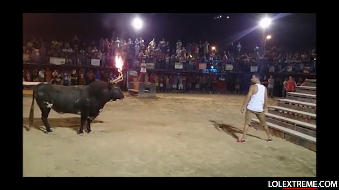 Sabrina Terence   Never fight with bulls
