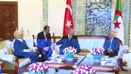 Cumhurbaşkanı Erdoğan - Cezayir Millet Konseyi Başkanı Bensalah görüşmesi - CEZAYİR