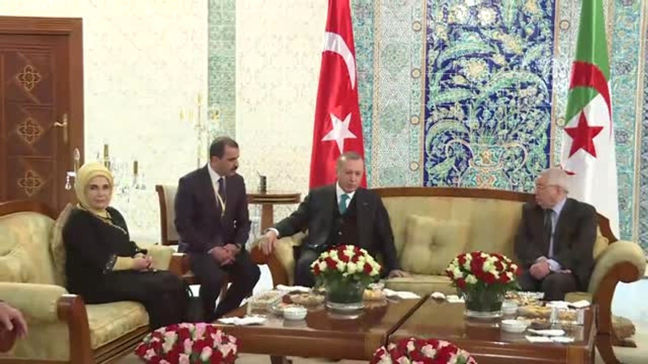 Cumhurbaşkanı Erdoğan - Cezayir Millet Konseyi Başkanı Bensalah Görüşmesi