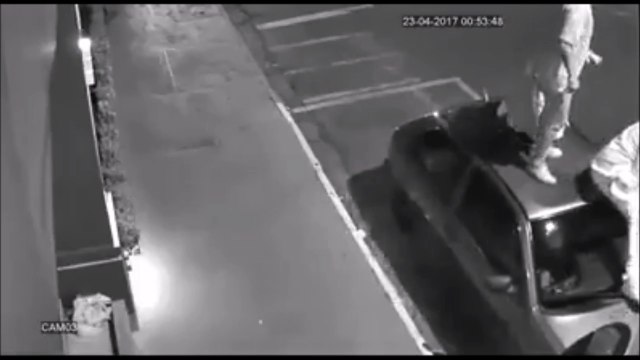 Il risque sa vie pour sauver sa copine en train de se faire mordre par 2 chiens féroces