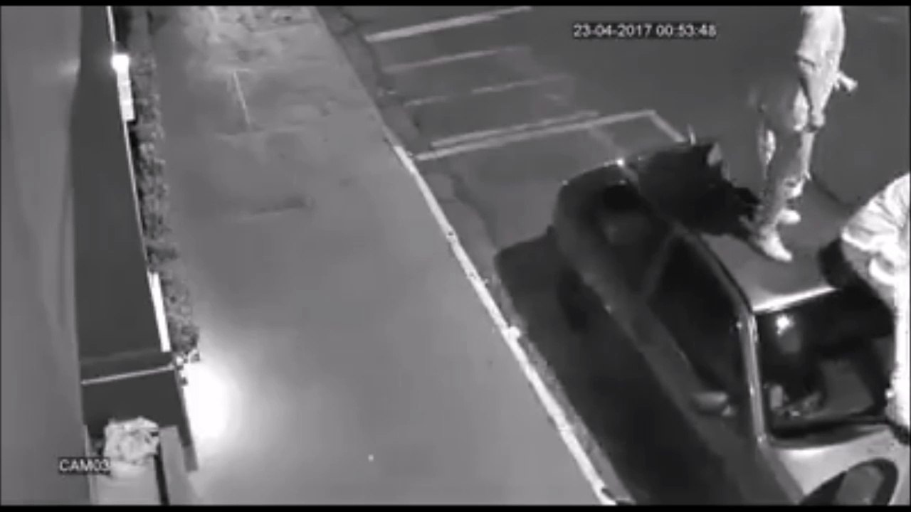 Il risque sa vie pour sauver sa copine en train de se faire mordre par 2 chiens féroces