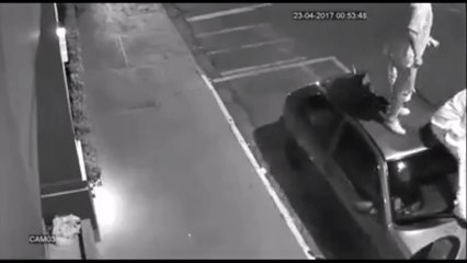 Il risque sa vie pour sauver sa copine en train de se faire mordre par 2 chiens féroces